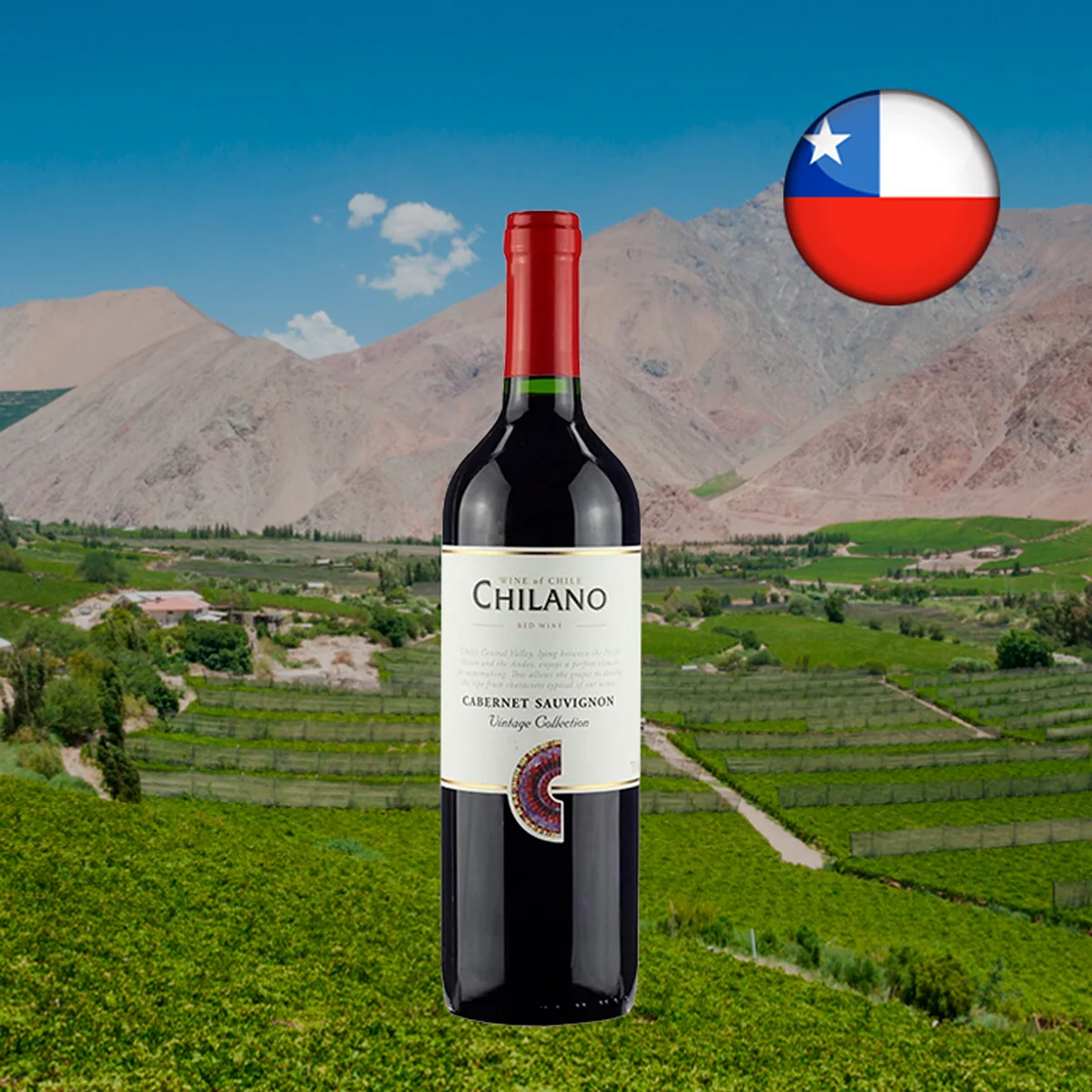 Chilano-Cabernet-Sauvignon-Vintage-Collection-Oferta.jpg